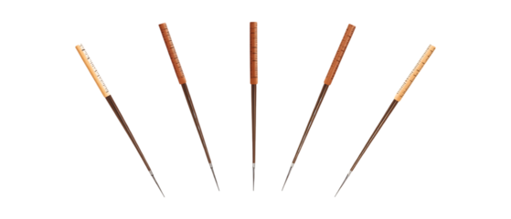 Pack of Acupuncture Needles Against Transparent Background for Health Branding, Therapy Promotion, or Wellness Design Projects