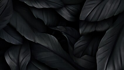 Obraz premium A under 200 characters: Dark, overlapping feathers create a textured, elegant, and mysterious pattern, highlighting fine details and natural symmetry in a monochrome palette.