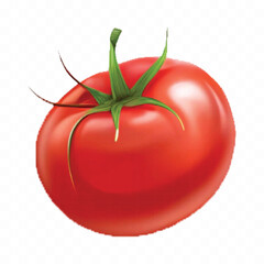 realistic 3d red tomato and slice isolated on  transparent background