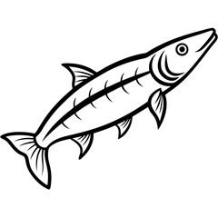 Barracuda Silhouette Vector Illustration
