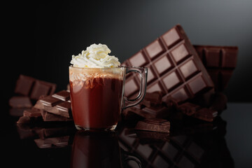 Hot chocolate with whipped cream.