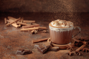 Hot chocolate with whipped cream.