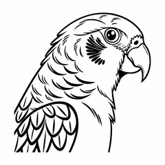 Black and White Parrot Illustration, Tropical Bird Line Art Drawing Isolated.