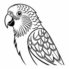 Detailed Line Art Illustration of a Parrot with an Open Beak.