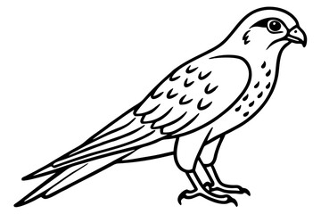 Elegant Kestrel Outline