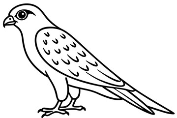 Elegant Kestrel Outline