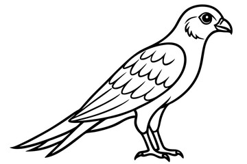 Elegant Kestrel Outline