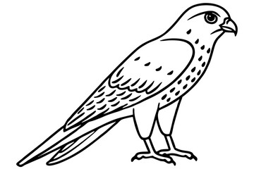 Elegant Kestrel Outline