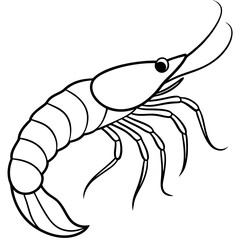 Continuous Line Shrimp Vector Art