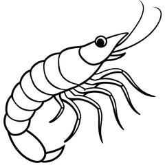 Continuous Line Shrimp Vector Art