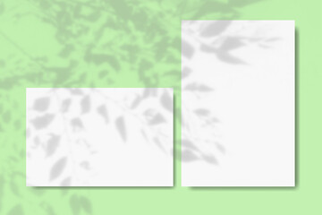 Natural light casts shadows from wildflowers of horizontal and vertical sheets of white textured paper against a green wall background. Mock up with an overlay of plant shadows.