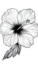 Fototapeta premium Minimalist Hibiscus Flower Black and White Vector Outline Engraving Art