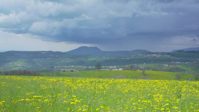 Green Meadow with Yellow Flowers and Cloudy Mountains &ndash; Scenic Lessinia
