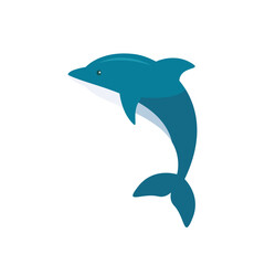 Fototapeta premium dolphin isolated on white background