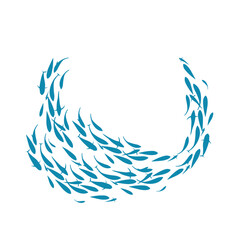 many fish swim in white background