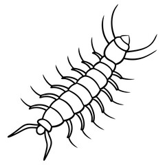 Elegant Centipede One-Line Drawing