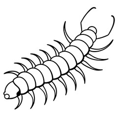 Elegant Centipede One-Line Drawing