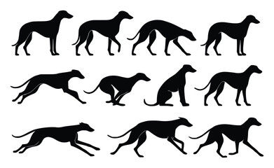 Silhouette Vector Set of Greyhound Dog Poses