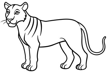 Elegant Liger Sketch