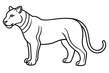 Elegant Liger Sketch