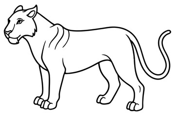 Elegant Liger Sketch