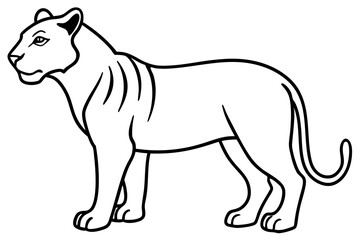 Elegant Liger Sketch