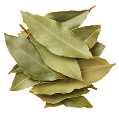 Aromatic Bay Leaves Still Life with Dark Backdrop Showcasing Culinary Ingredient