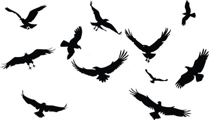 Obraz premium Bald Eagle silhouettes. This vector illustration can be used as a print on t-shirts, tattoo element or other uses 