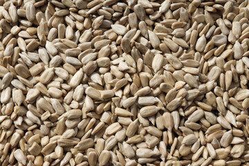 Sunflower seeds, concept of harvest, tasty snack