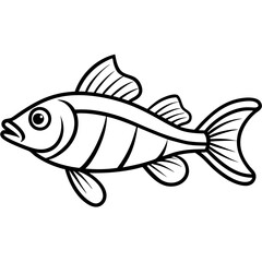 Elegant Lanternfish Vector Line Drawing
