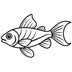 Elegant Lanternfish Vector Line Drawing