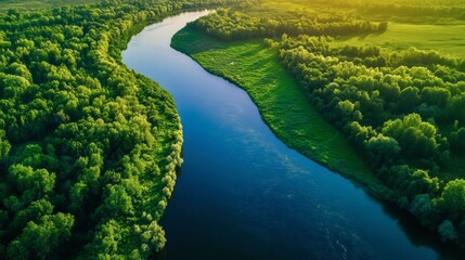 Ecology and environment concept. Green nature from above. Aerial view on river landscape. Healthy nature