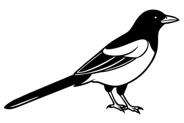 Elegant Magpie Line Art