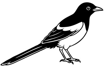 Elegant Magpie Line Art