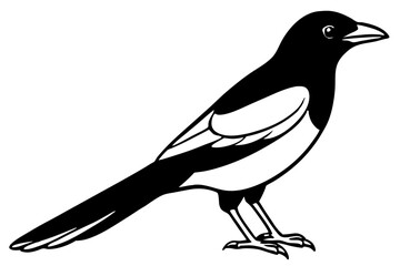 Elegant Magpie Line Art