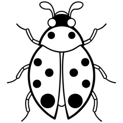 Elegant Ladybug Outline Illustration