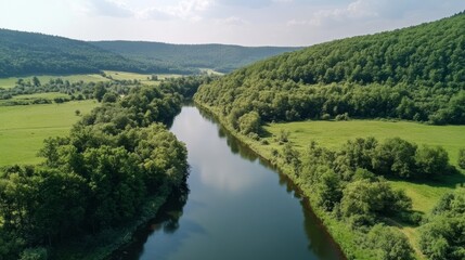 River and green forest in Tuchola natural park, aerial view