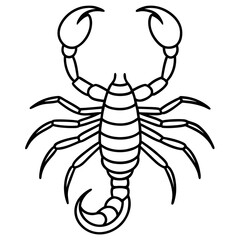Elegant Scorpion One-Stroke Vector Design