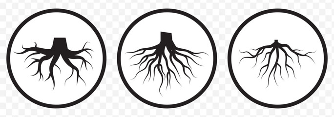 Root icon, line editable stroke and silhouette on Transparent Background. EPS 10.
