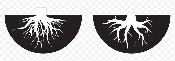 Tree roots icon, symbolizing deep environmental connection and natural growth on Transparent Background. EPS 10.