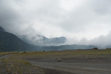 Misty mountain landscape nature scene foggy environment serene viewpoint tranquil concept for nature lovers