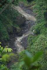 Rushing river flowing through lush green forest nature photography tranquil landscape aerial view natural beauty