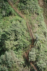 Hiking adventure on a winding staircase trail lush jungle aerial view nature exploration
