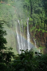 Majestic waterfall cascades tropical forest nature photography lush environment aerial view serenity and beauty