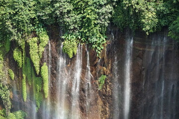 Majestic waterfall cascading in lush green forest nature scene aerial view serenity and beauty