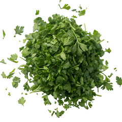 Fototapeta premium Chopped parsley isolated on transparent background