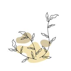 Minimalist Botanical Illustration