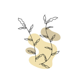 Minimalist Botanical Illustration