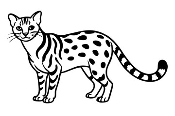 Elegant Margay Sketch