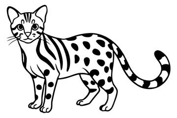 Elegant Margay Sketch